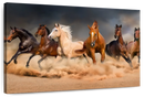 Desert Roaming Horses Wall Art