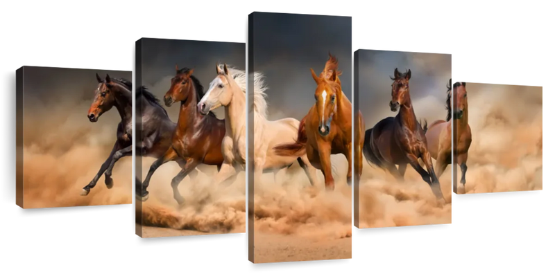 Desert Roaming Horses Wall Art