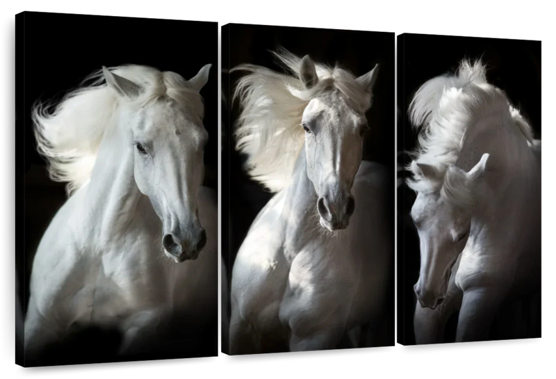 Three White Horses Wall Art