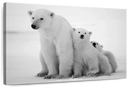 Polar Bear Family Wall Art