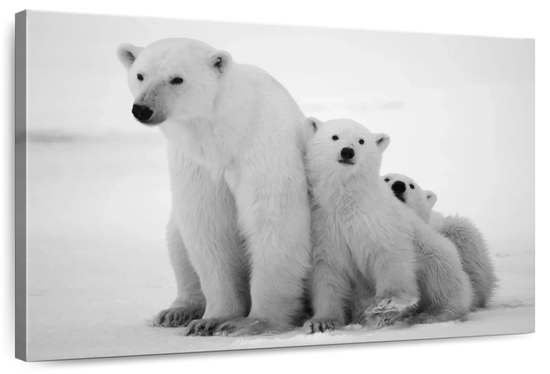 Polar Bear Family Wall Art