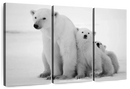 Polar Bear Family Wall Art