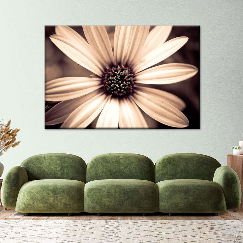 Detailed Sepia Flower Wall Art