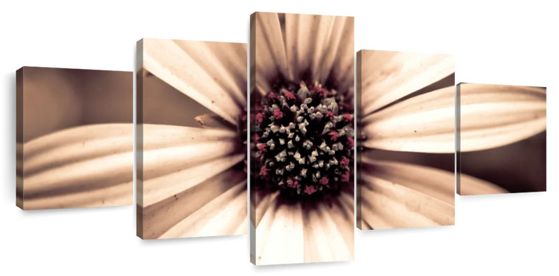 Detailed Sepia Flower Wall Art