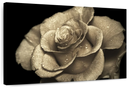 Retro Rose Wall Art