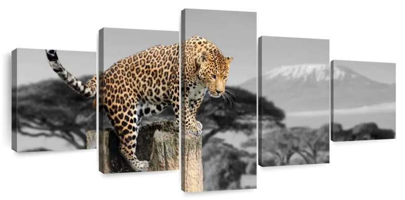 Pop African Leopard Wall Art