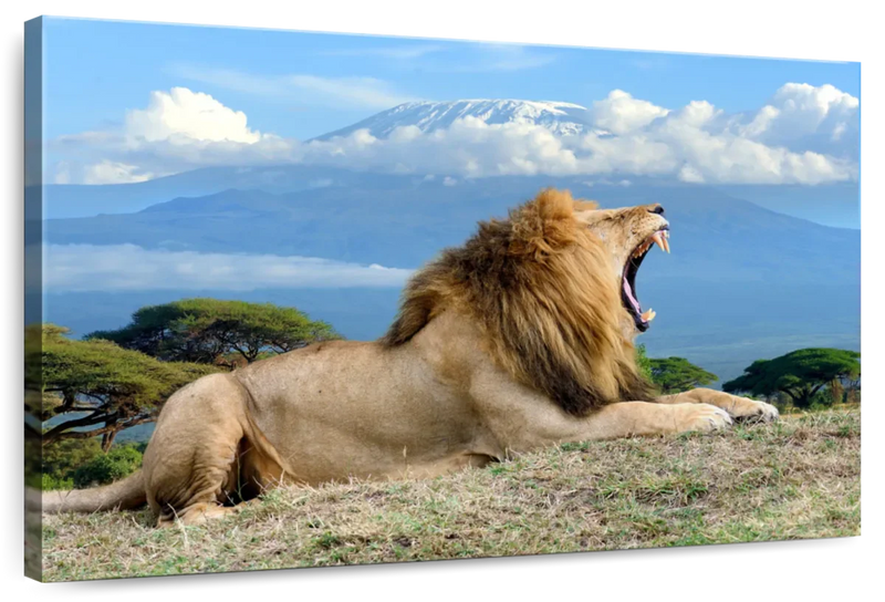 Roaring Safari Lion Wall Art