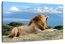 Roaring Safari Lion Wall Art