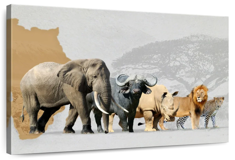 Iconic Safari Animals Wall Art