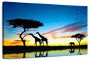 African Safari Wall Art