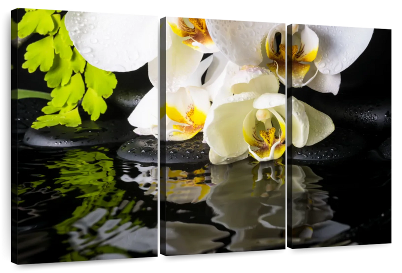 Delicate Zen Orchids Wall Art