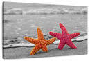 Nautical Starfish Duo Wall Art