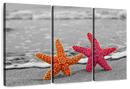 Nautical Starfish Duo Wall Art