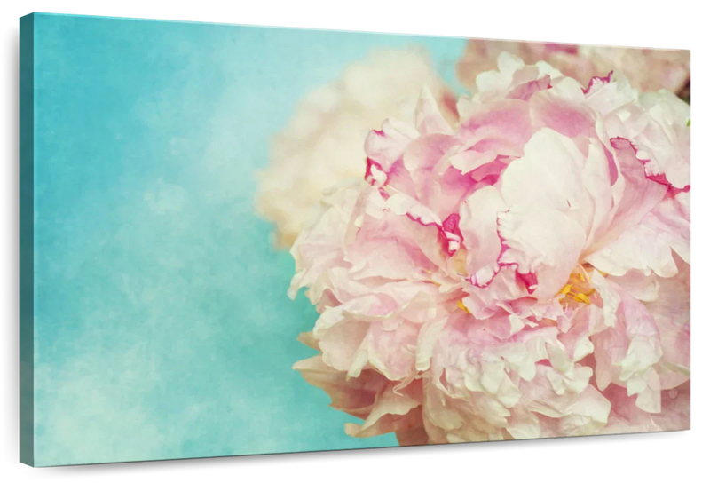 Lovely Peony Wall Art