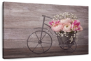 Ranunculus Bicycle Vase Wall Art