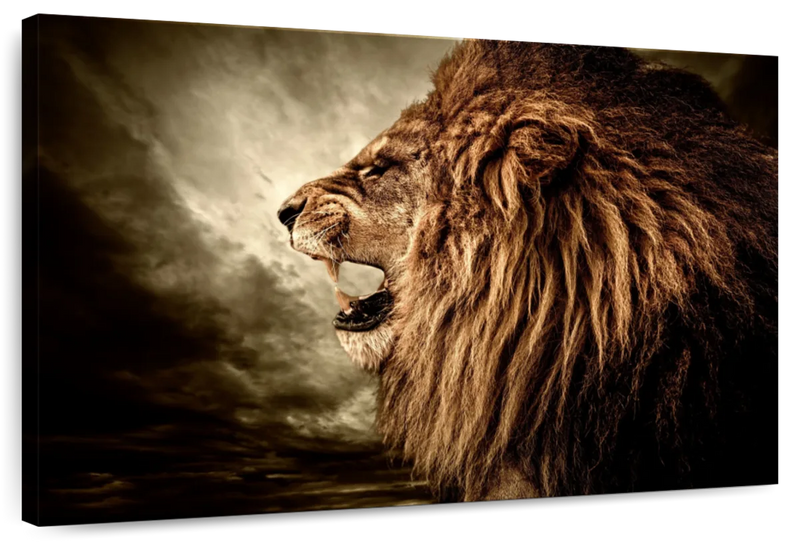 Fierce Lion Growl Wall Art