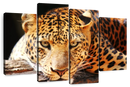 Leopard Gaze Wall Art