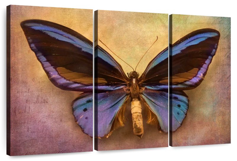 Purple Butterfly Wall Art