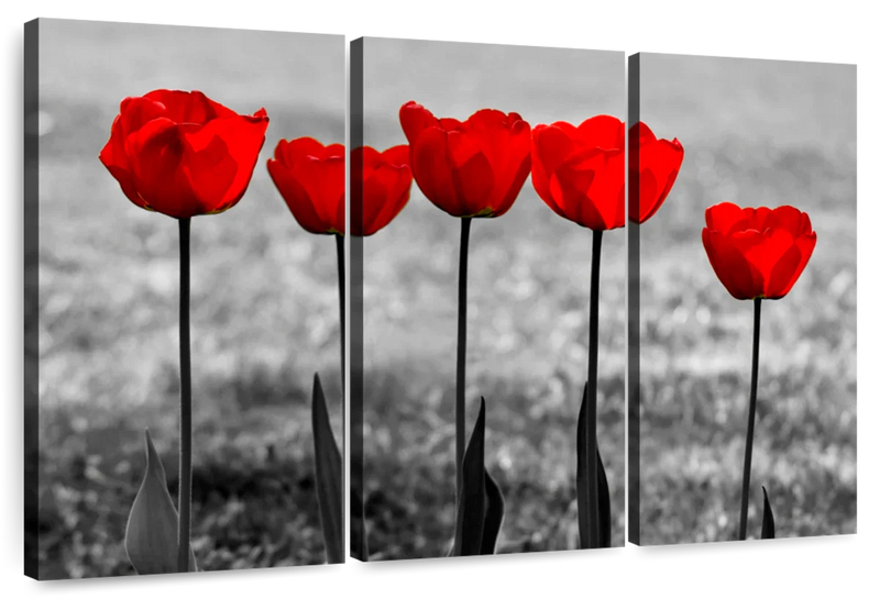 Five Red Tulips Wall Art