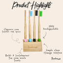 Toothbrush Holder with 4 Slots by Bamboo Switch