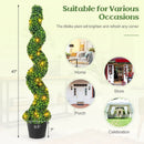 Pre-Lit Artificial Boxwood Spiral Topiary Tree Set of 2 with 100 LED Lights by LJGDeals