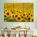 Endless Sunflower Field Wall Art