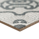 MSI Trastevere 8X8 Porcelain Tile