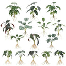 Tropical artificial plant wall set living room decorative foliage by Decorbites