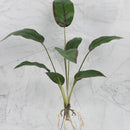 Tropical artificial plant wall set living room decorative foliage by Decorbites