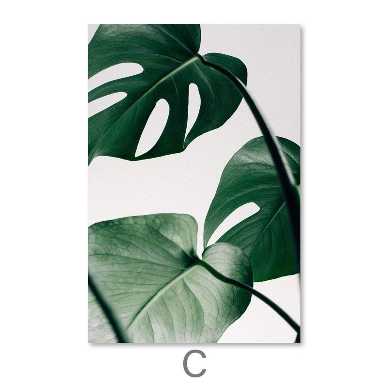 Tropical Leaf Canvas