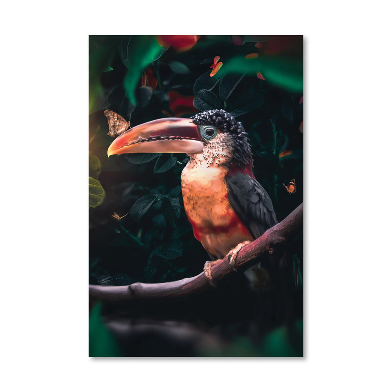 Tropical Toucan Canvas