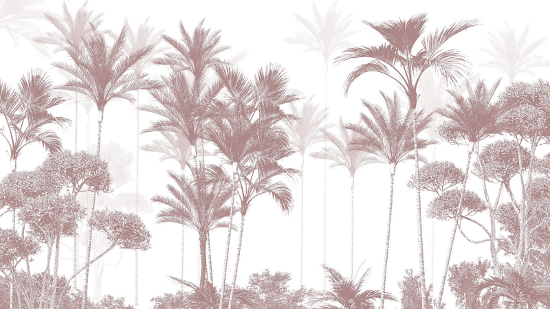 Foggy Palm Forest Wallpaper - Tropical Wallpaper Mural