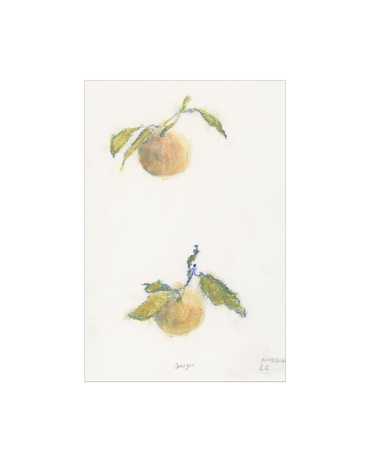 Pastel Oranges, photo 15 of 32