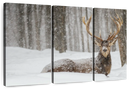 Snow Covered Elk Wall Art