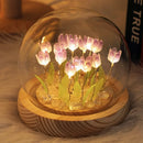 Pink tulip glass dome night light bedroom wood base by Decorbites