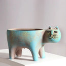 Turquoise ceramic cat succulent plant pot living room decor by Decorbites