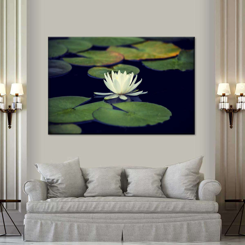 Lotus And Leaves Wall Art