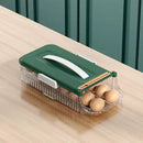 Two tier clear green & white egg storage box kitchen organizer by Decorbites
