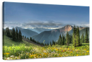 Rocky Mountain National Park Meadow Wall Art