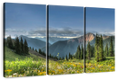 Rocky Mountain National Park Meadow Wall Art