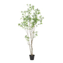 240cm Artificial Pieris Tree