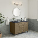 James Martin Chicago 48" Single Bathroom Vanity, Walnut Whisper