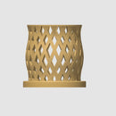 Capricious Orchid Planter Pot