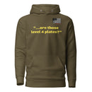 Are those Level IV plates Hoodie