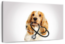 Doctor Dog Wall Art