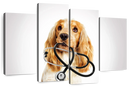 Doctor Dog Wall Art