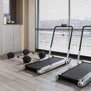 Fitness Room Set: Dumbbell Weight Set+3-in-1 3HP Folding Treadmill by LJGDeals