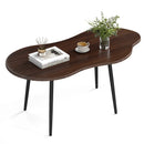 Cloud Shape Coffee Table 39.5 inch Irregular Center Table with Metal Frame by LJGDeals