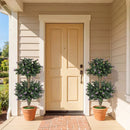 2 Pack 36" Artificial Double Ball Boxwood Topiary Tree with 41 Blossoms by LJGDeals