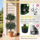2 Pack 36" Artificial Double Ball Boxwood Topiary Tree with 41 Blossoms by LJGDeals